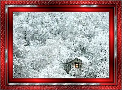 Дома для настоящих отшельников