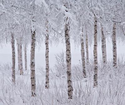 Победители Международного конкурса пейзажной фотографии 2015