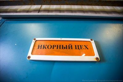 Как делают икру. Процесс производства захватывает!
