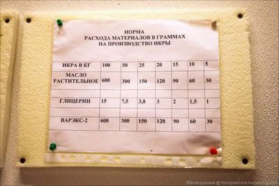 Как делают икру. Процесс производства захватывает!